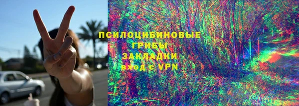 шишки Алзамай