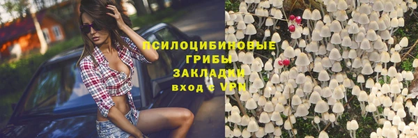 шишки Алзамай