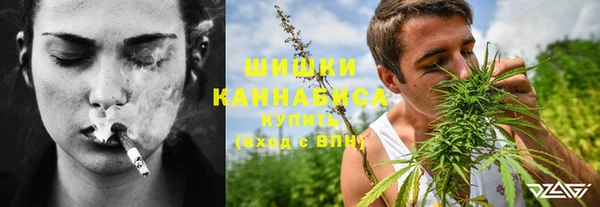 сатива Алексин
